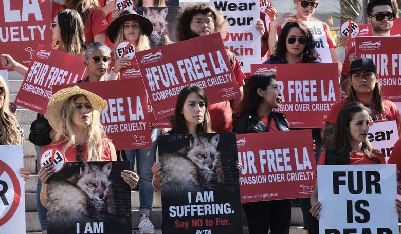 The Day PETA Looked Right, and Heads Exploded