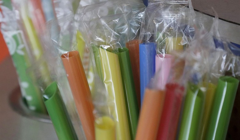 The Problem Isn’t The Plastic, It’s The People