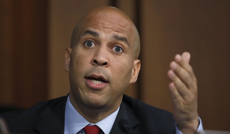 Sen. Booker Grills Judicial Nominee on Whether She Thinks Gay Marriage Is 'Sinful,' Asks if She's Had LGBT Employees