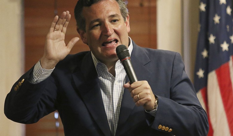 Sen. Cruz Wants Multiple People Held Accountable For Antifa Attacks On Conservative Journalist
