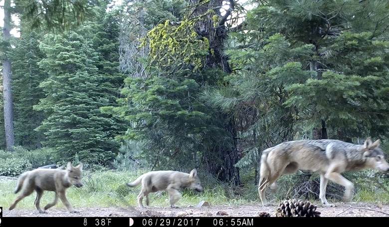 Three Died in the Colorado Wilderness, Trying to Live 'Off the Grid'