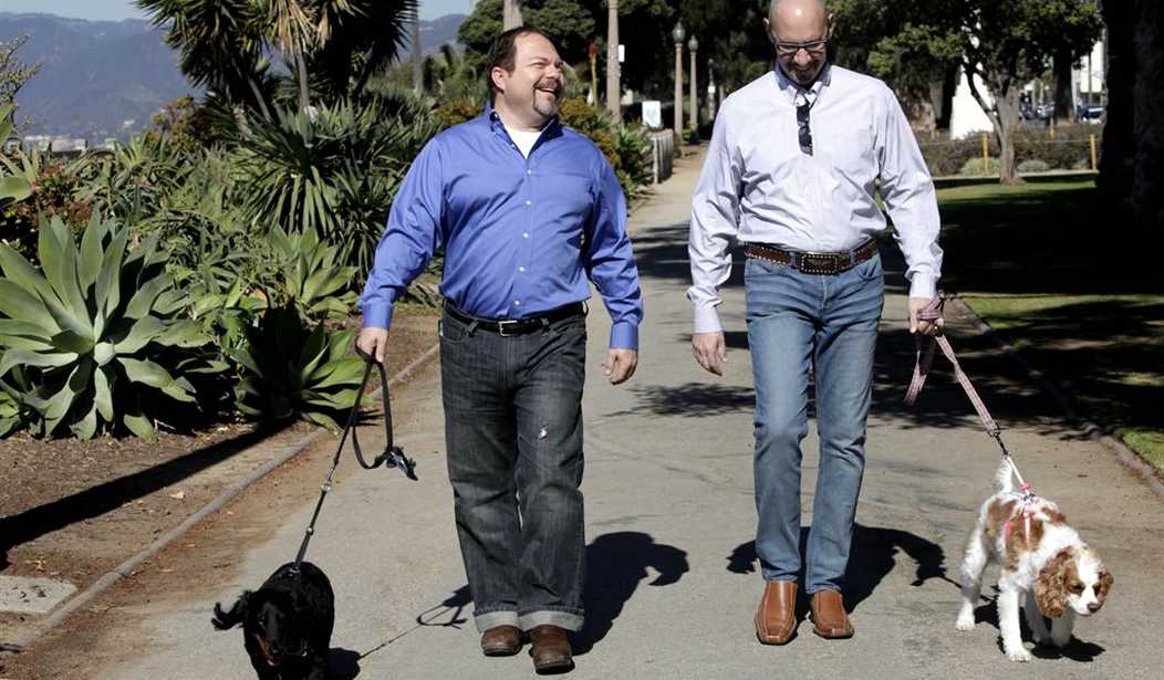 Randy Fine Said Nothing Wrong