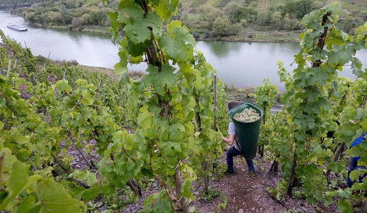 Farm Labor Company Operator Pleads Guilty to RICO Charge in Worker Exploitation Case