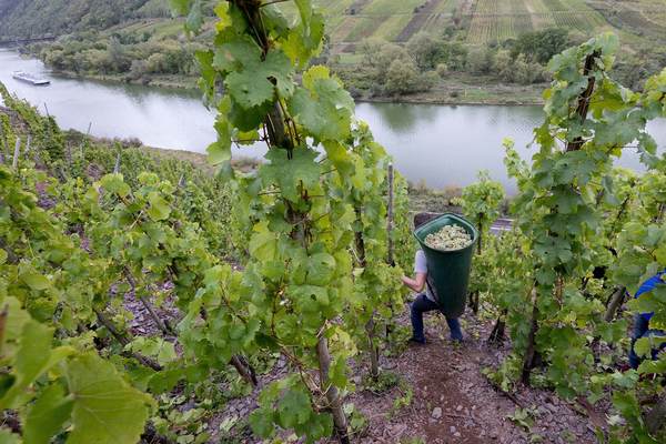 Farm Labor Company Operator Pleads Guilty to RICO Charge in Worker Exploitation Case