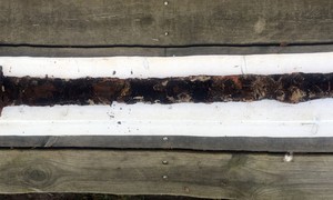 The Shipwreck That Could Have Armed 500 Warriors