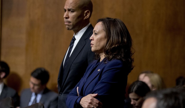 Civil War: Former Democratic Senator Is Just Ripping The Party's 2020 Field On Twitter