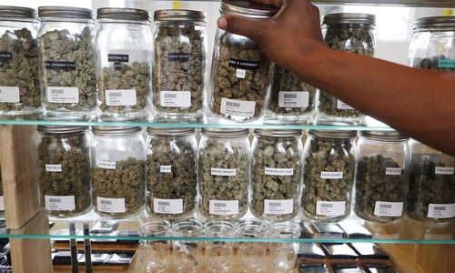 SCOTUS Ruling Has Marijuana Users High on Their Second Amendment Rights