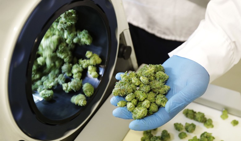 DeSantis Schools Polis on Pot: FL Rejects Corporate Weed Push as CO's $3B 'Jackpot' Can't Fix Potholes