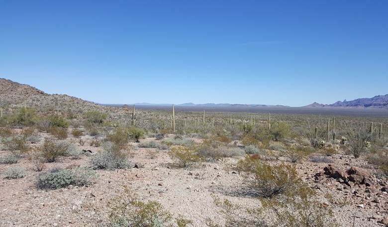 Border Patrol Tracks Three Illegal Border Crossers, Finds Two Dead 