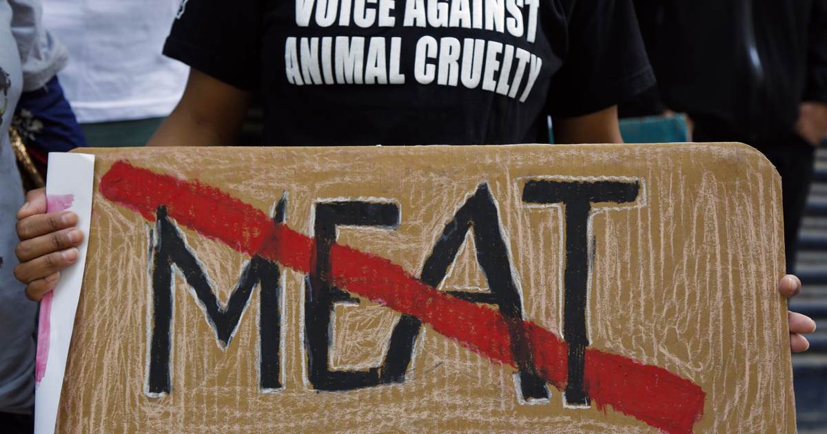 Rabid Animal Rights Activists Swarm Beagle Research Facility to Steal Dogs