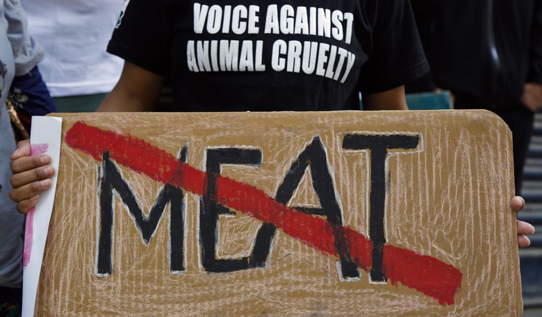 Rabid Animal Rights Activists Swarm Beagle Research Facility to Steal Dogs