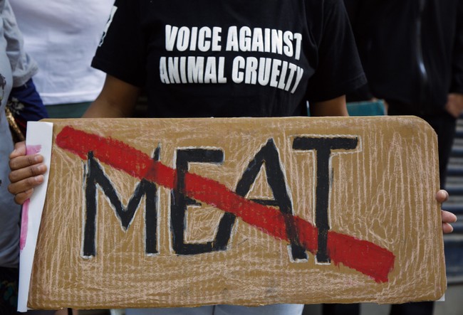 The Fallacy Behind the Concept of 'Animal Rights' - Vimarsana News