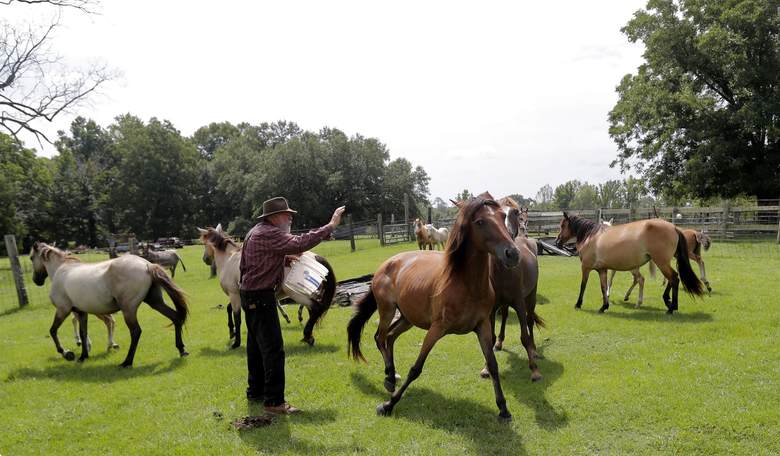 Tennessee Sheriff's Office Faces Scrutiny for Stealing Livestock Without a Warrant