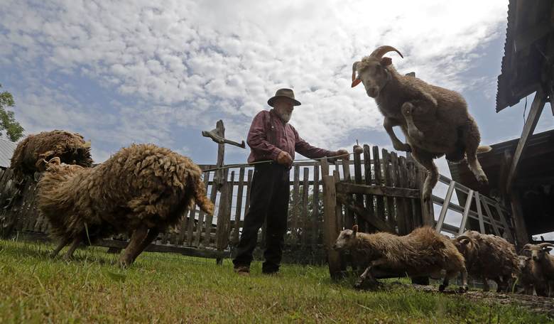 This State Just Banned Lab-Grown Meat