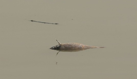 243M Gallons of Sewage Spill Into the Potomac River in Largest U.S. Wastewater Disaster