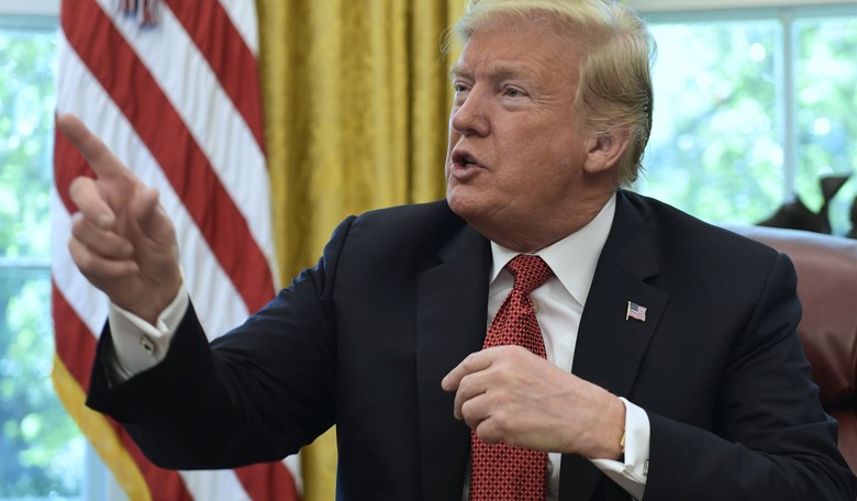 Donald Trump: A Paragon of Action