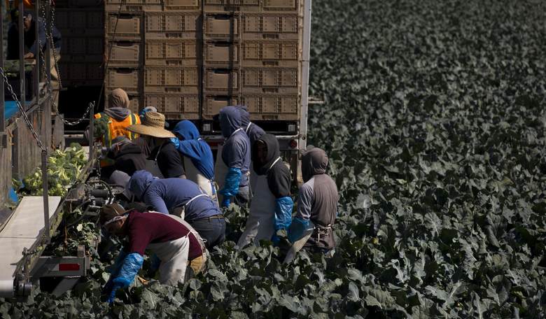 Report: White House in Talks to Bring in More Foreign Workers 