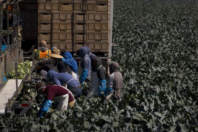 California Gives Illegal Aliens ‘Free’ Fridges, Solar Panels