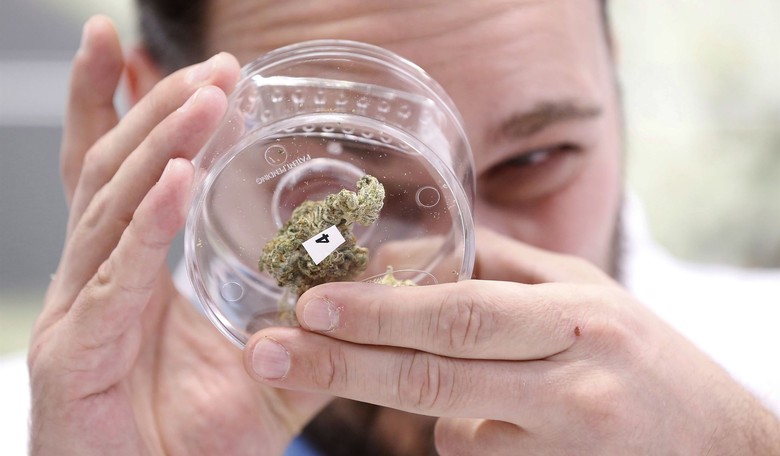 Appeals Court Revives Challenge to Ban on Guns for Medical Marijuana Users