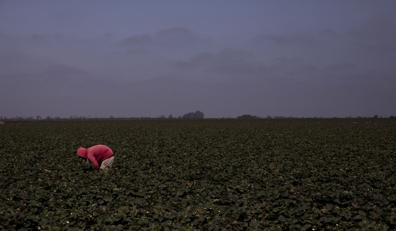 Beware: China Is Gobbling Up American Farmland
