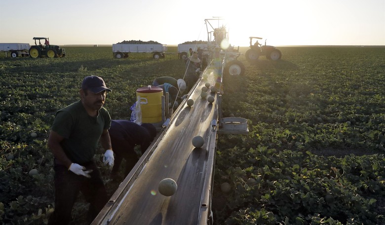 Returning Jobs Spark Hope For Recovery