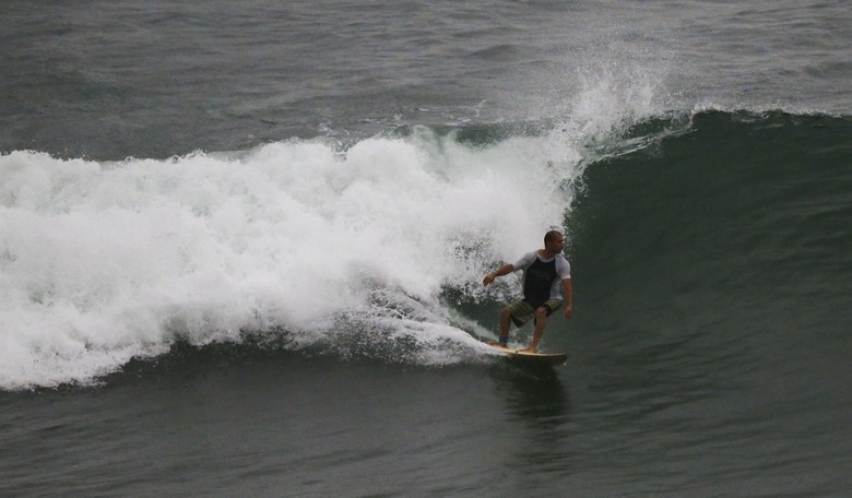 A Dog in the UK Born With 6 Legs Takes Up Surfing
