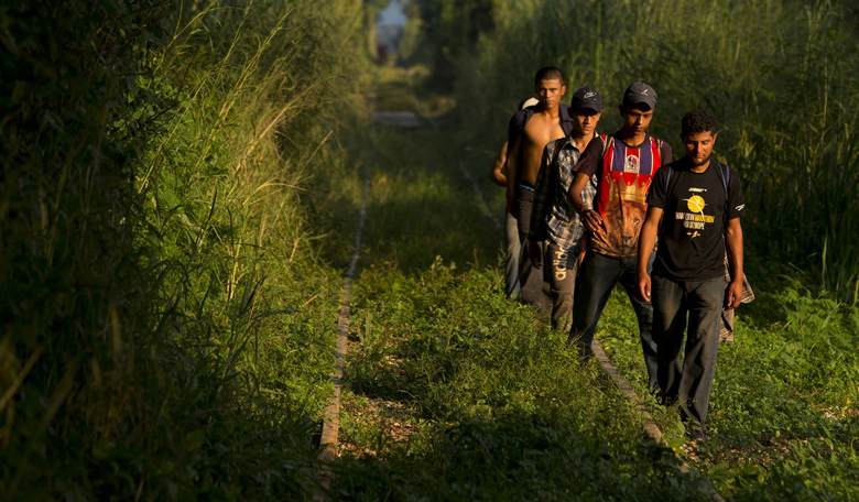 'Caravan' Just Turned Blue Wave into Red Tsunami