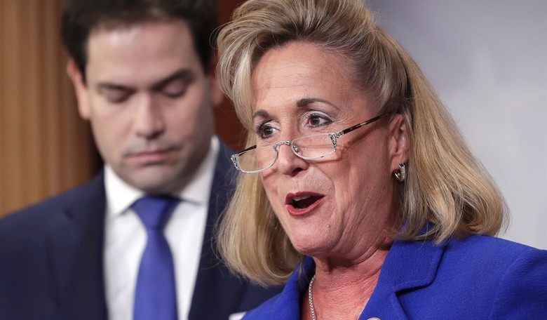The Case For Re-electing Ann Wagner to Congress