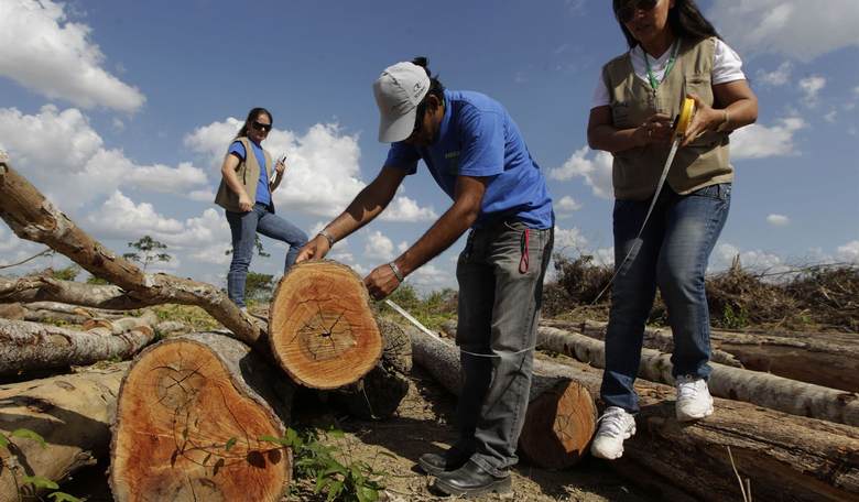 Brazil Is Hacking Down Protected Amazon Rainforest ... to Make Special Highway for UN Climate Summit