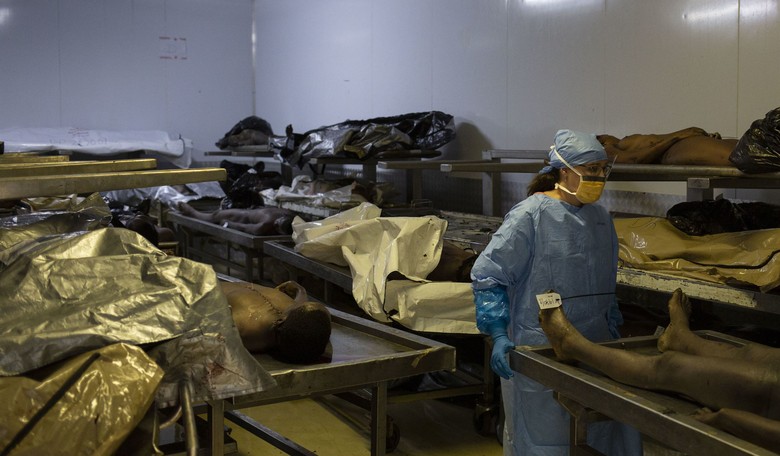 Harvard's News Cycle Just Got Worse As Medical School Morgue Director Pleads Guilty to Disgusting Crime