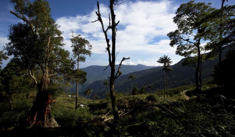 The Idolatry of Environmental Extremism 
