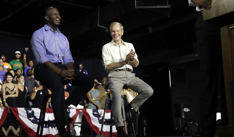 FL SEN: The Sordid And Possibly Criminal History Of Broward County’s Election Supervisor…The Biggest Dem Bastion In The State