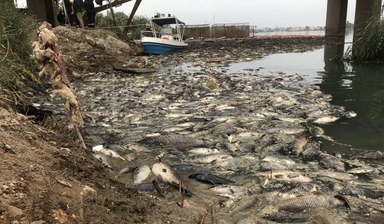 McConnell Helps Deliver Decisive Blow to Win the ‘War on Carp’