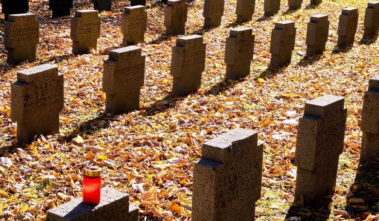 SF Lefties' Creepy Graveyard: Trump, Kavanaugh and DeSantis Tombstones Celebrate Assassination Fanfic