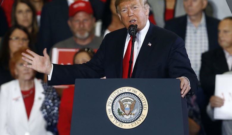 Nine Takeaways from the Midterms