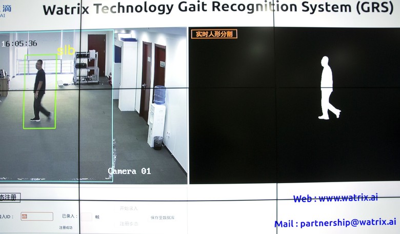 The Stupidity of Artificial Intelligence 
