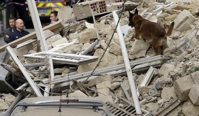 US Military Dog Killed Alongside Army Ranger While Fighting Al-Qaeda