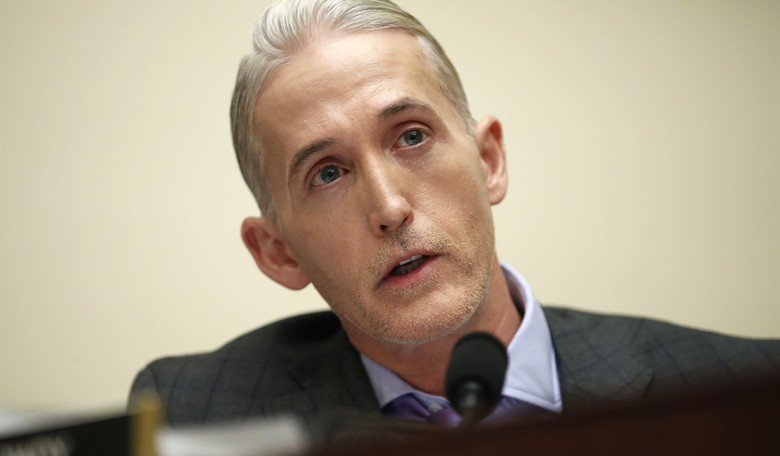 Rep. Gowdy: Memo Doesn't Impact Russian Probe, Dems. Should Be Equally Concerned About FISA Application