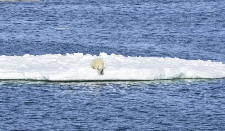 The Climate Change Trial: A Case Pitting Reason Against Extremism