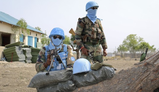 Time for the UN to Send the Blue Helmets to America?