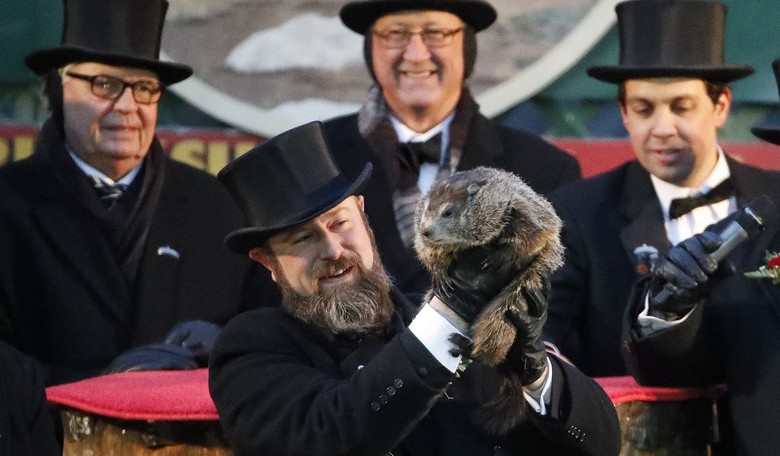 From Vegan Cakes to Virtual Varmints: PETA's Latest Groundhog Gimmick Flops