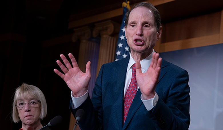 Democrats Aren’t Going to Let a Good Crisis Go to Waste