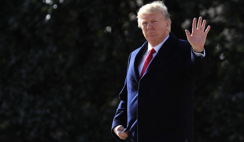 Trump -- Middle American Radical