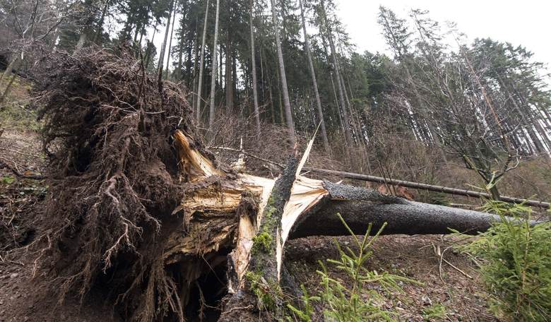 For All Their Vaunted Green Energy, the Germans Are Doing Some Strange and Contrary Things