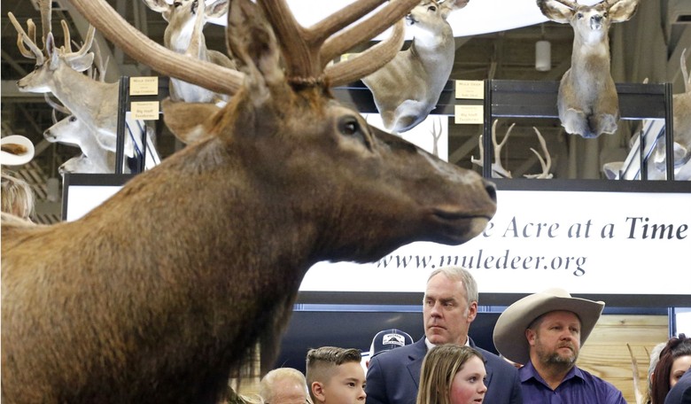 Weekend Parting Shot: Study Links Deer Season to Shooting Violence