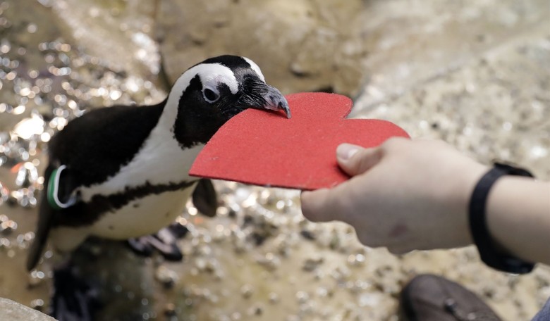 Love Is IN the Air - Did You Think I'd Forget Valentine's Day?