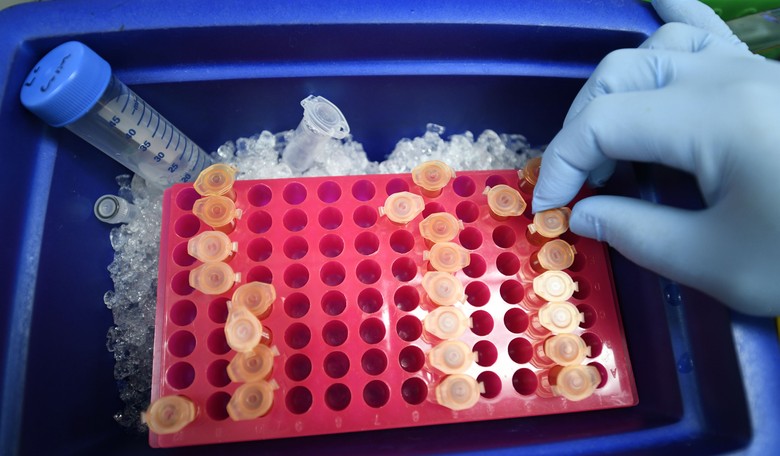 Does This Study Shift the Covid-19 Narrative About When the Virus Was in the US?