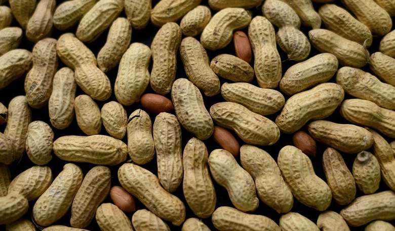 'Woke Kindergarten' Education Consultant: Kookoo for Cocoa Puffs