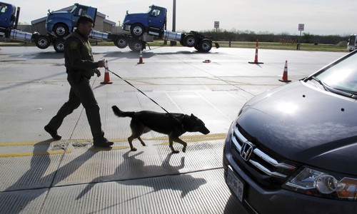 Good Boy, Bad Cargo: CBP Dog Sniffs Out $6M in Cocaine