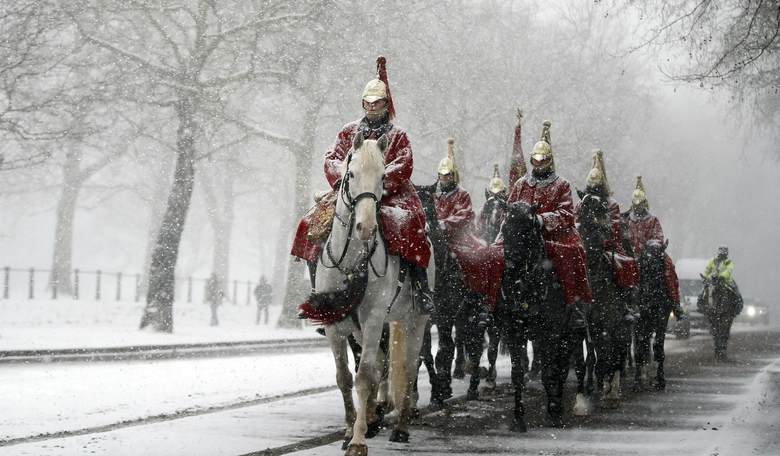 All the King's Horses: Bloodstained Mare, Dark Stallion That Bolted Through London in Serious Condition
